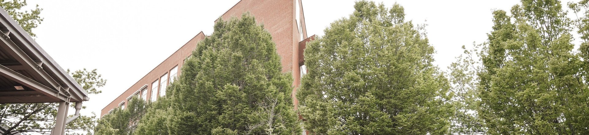 Schulgebäude Friesische Lücke und Bäume im Vordergrund